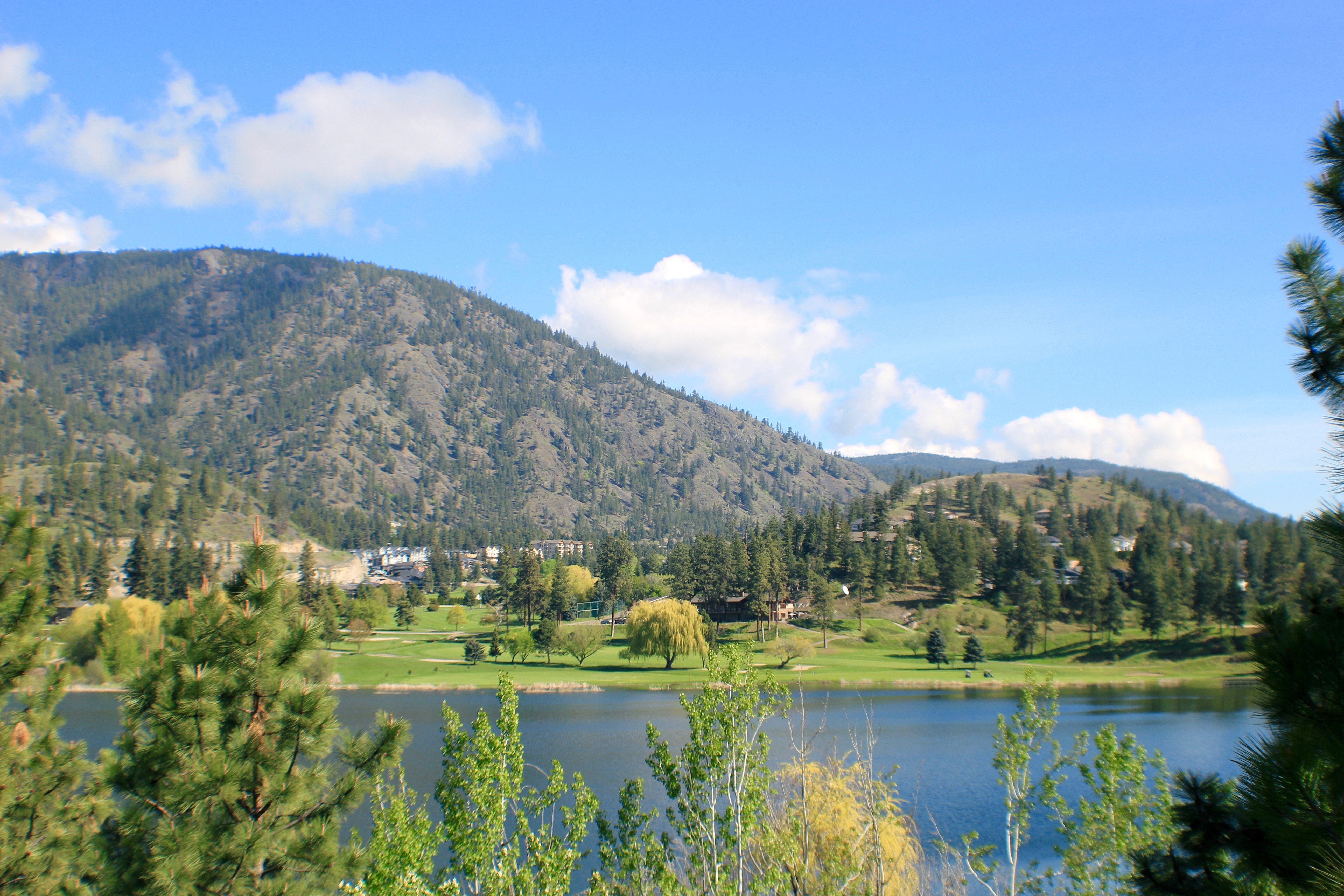 Shannon Lake Golf Course