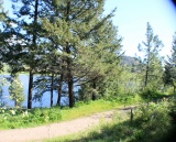 Shannon Lake Park Trails